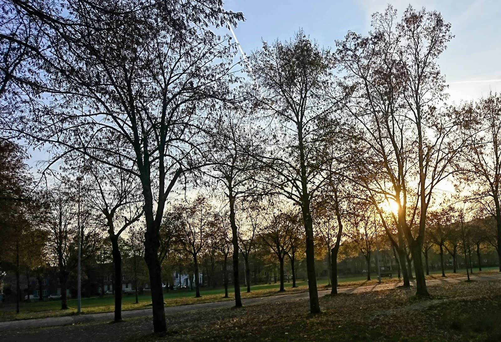 Parc de la Hotoie Amiens - Image 1