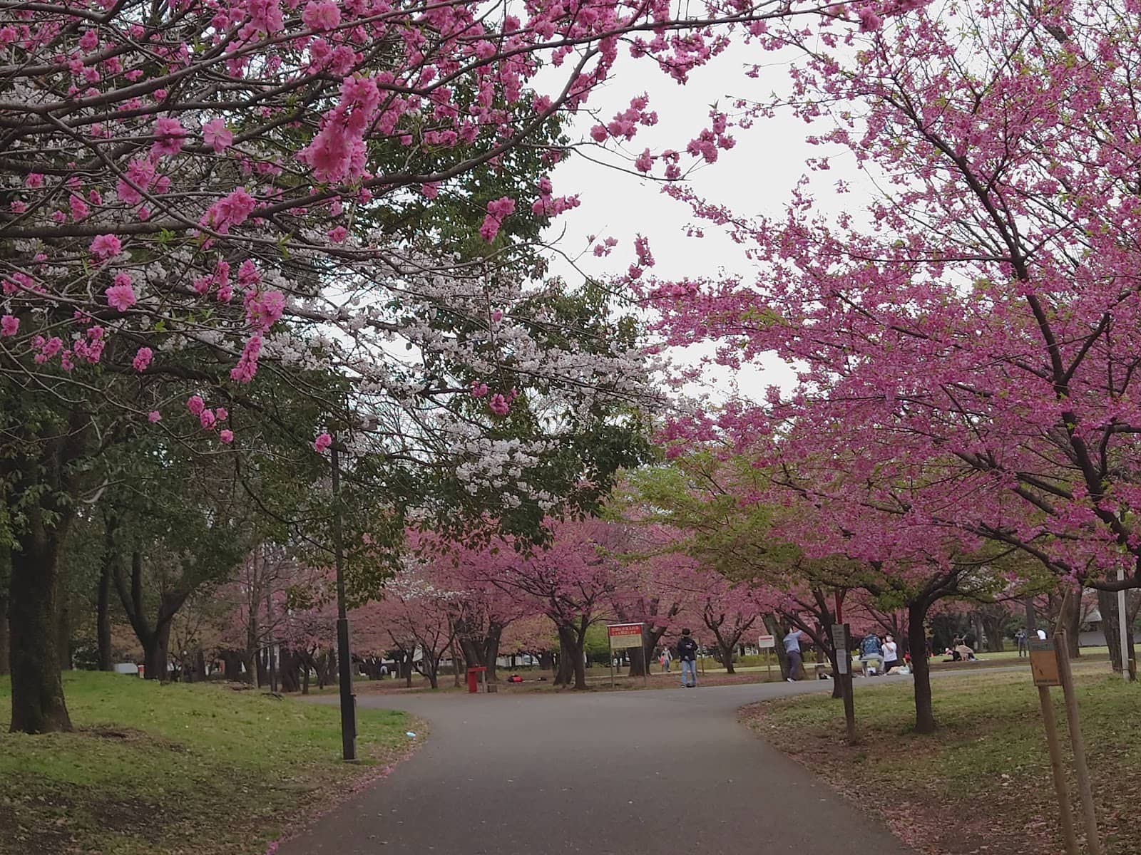 Sports and Recreation Fields