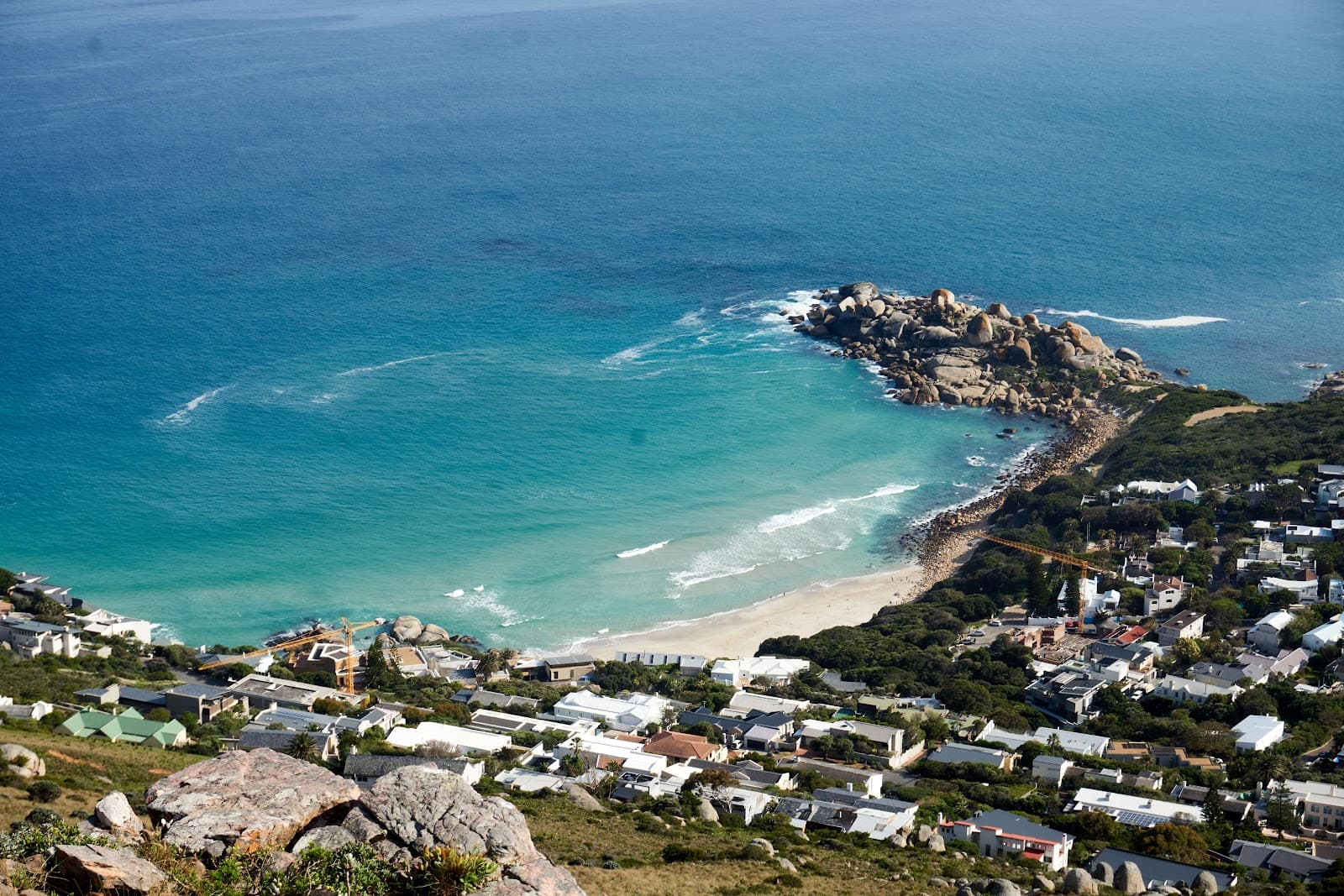 Little Lion's Head - Image 1