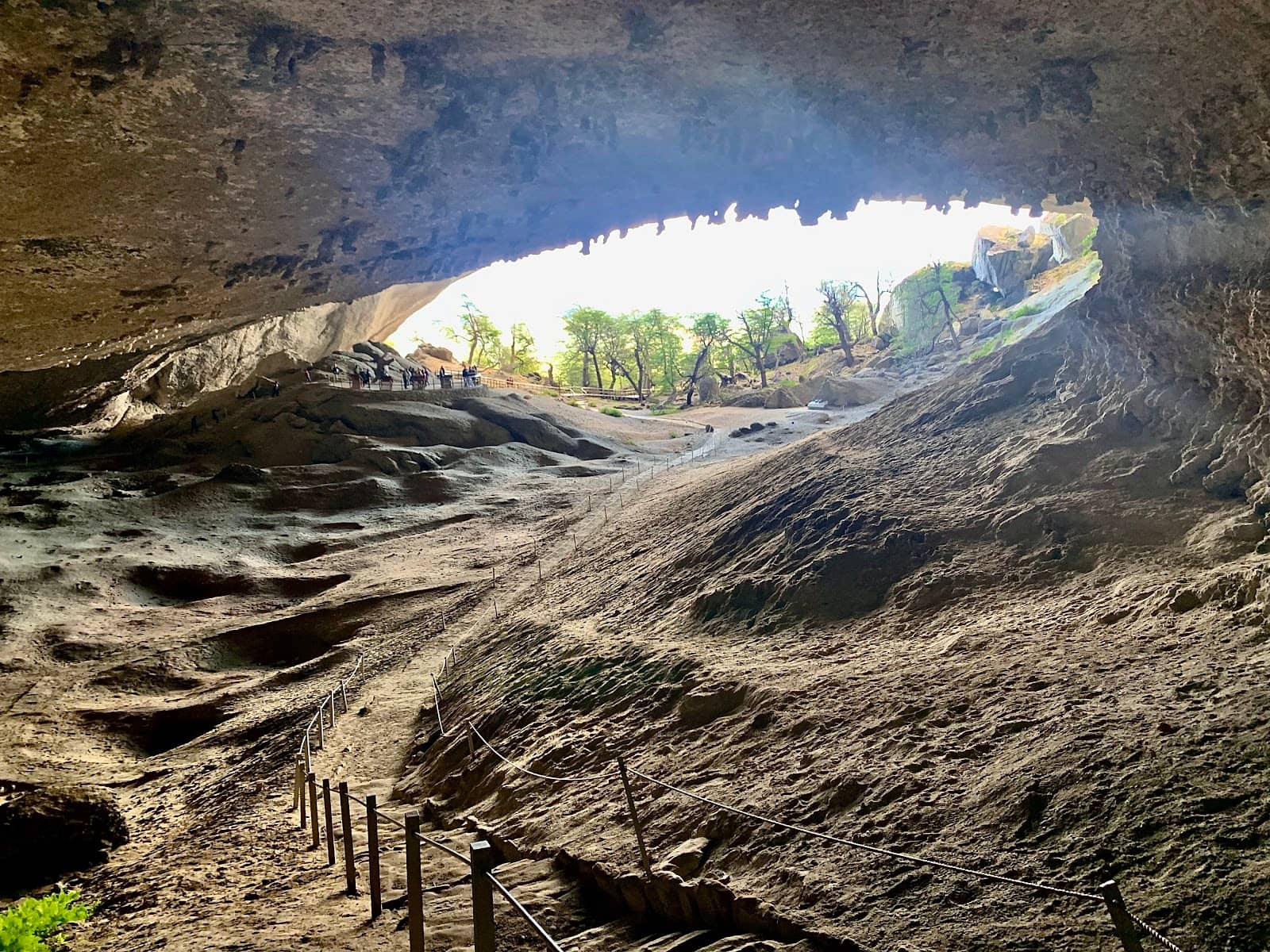 Surrounding Trails