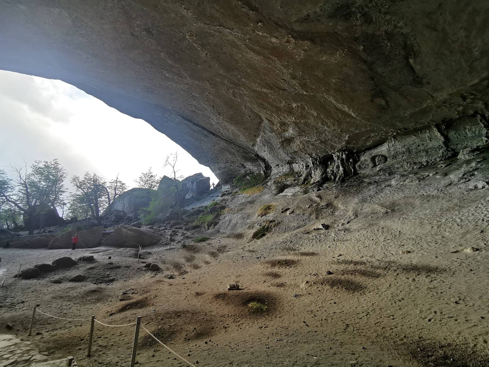 Vertical photo