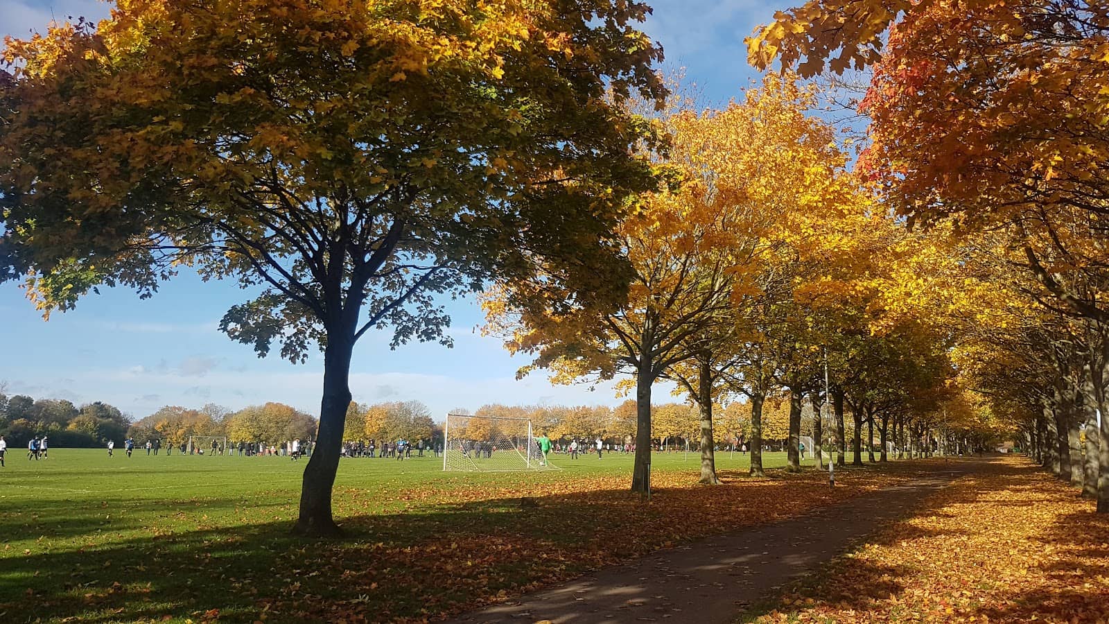 Local Running Routes