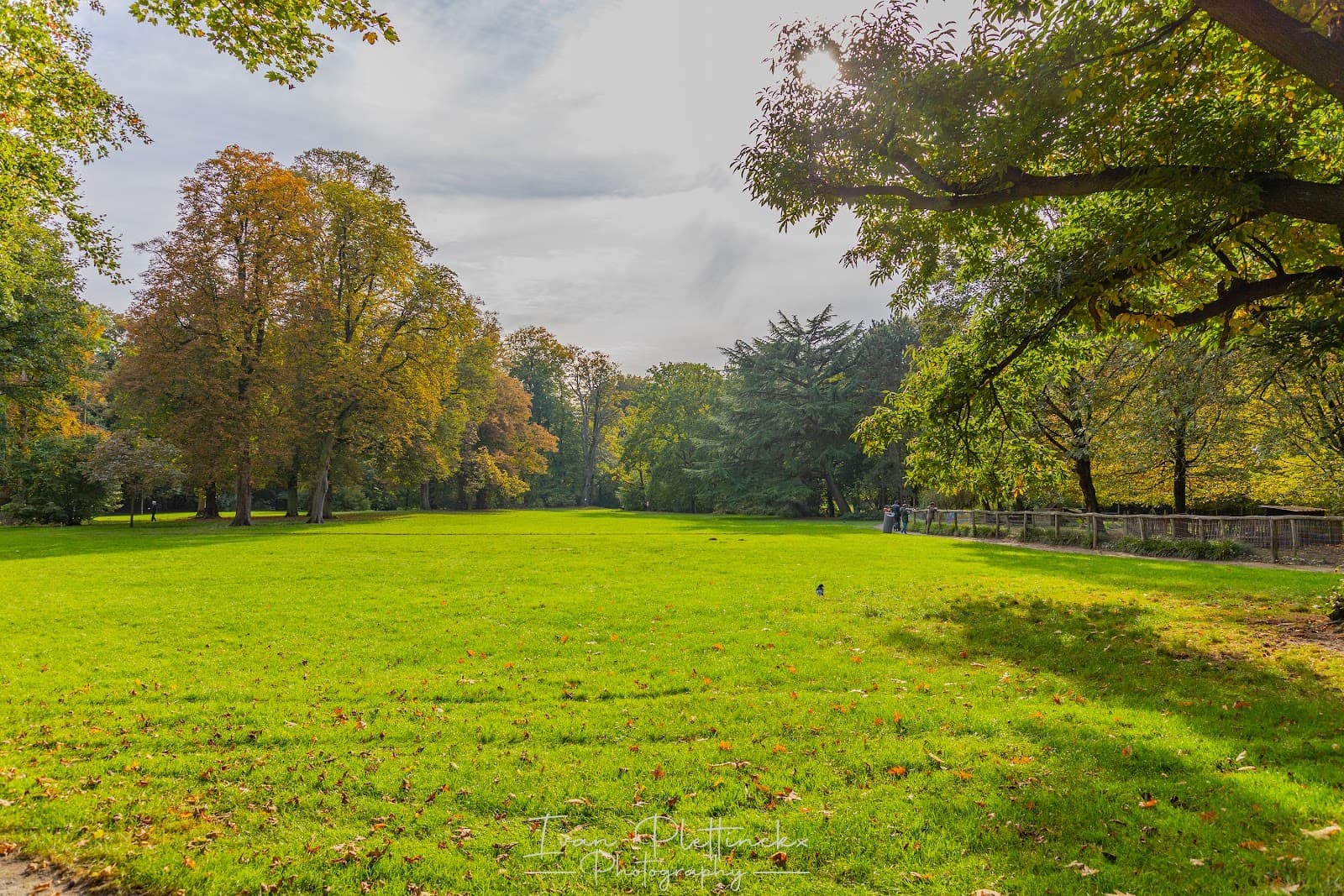 Nachtegalenpark - Image 1