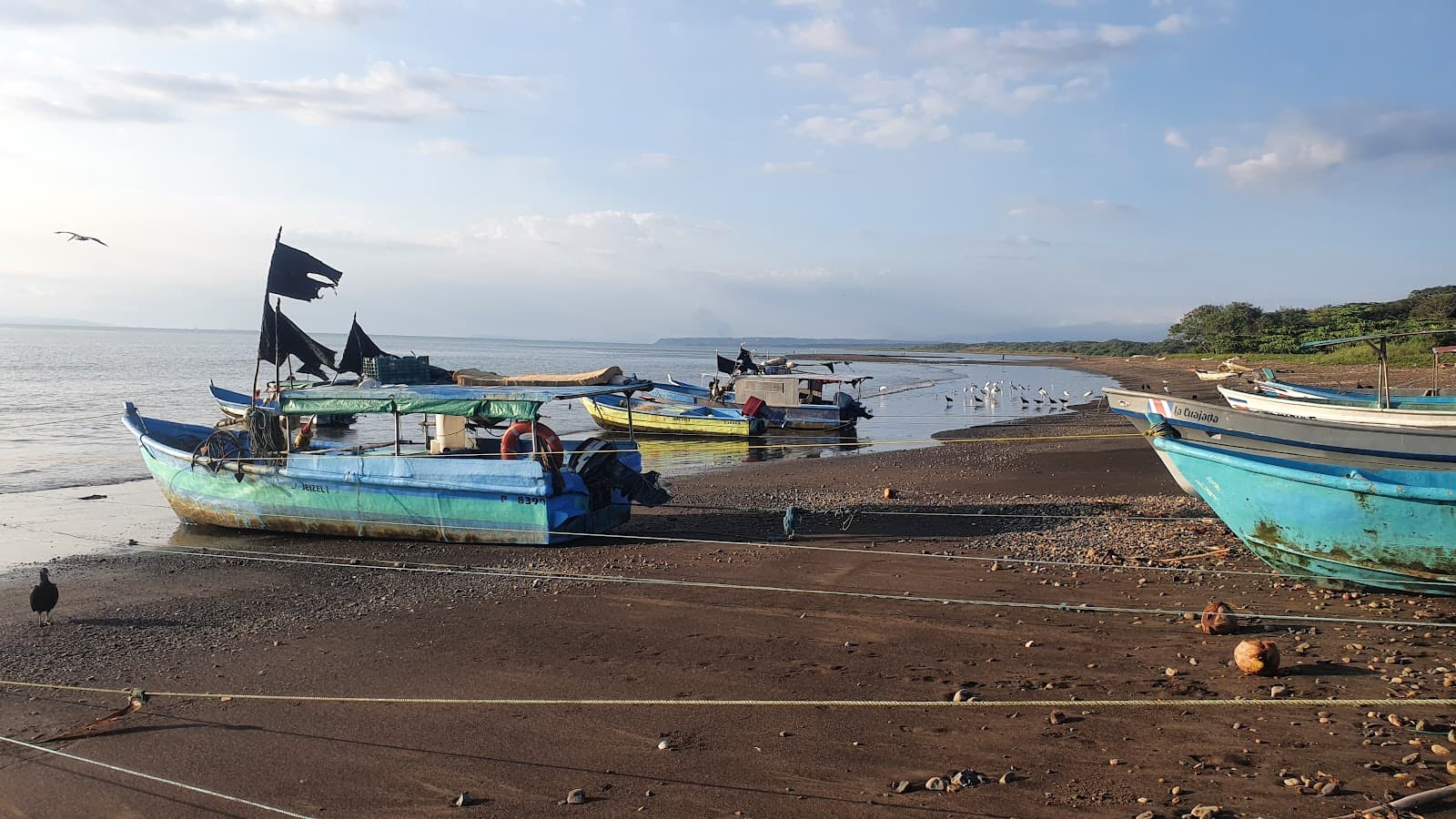 Tárcoles Fishing Pier - Image 1