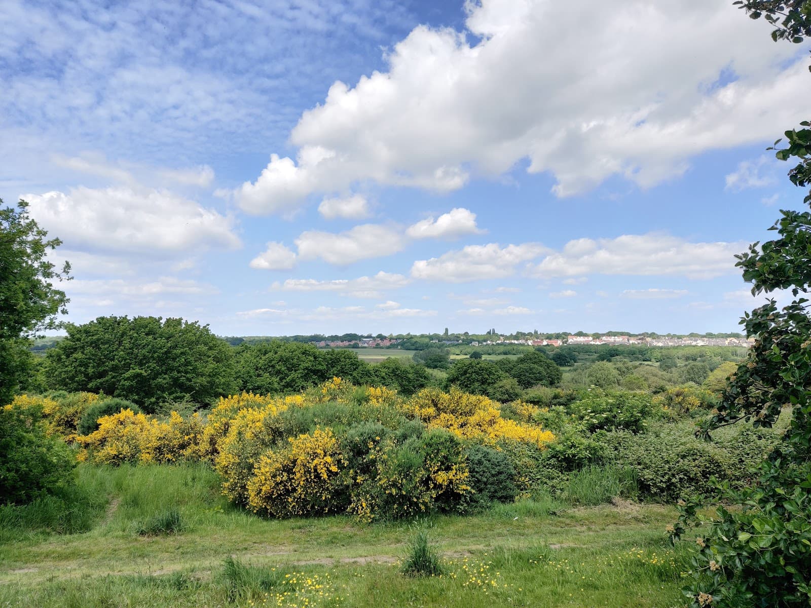 Hilly Fields Local Nature Reserve - Image 1