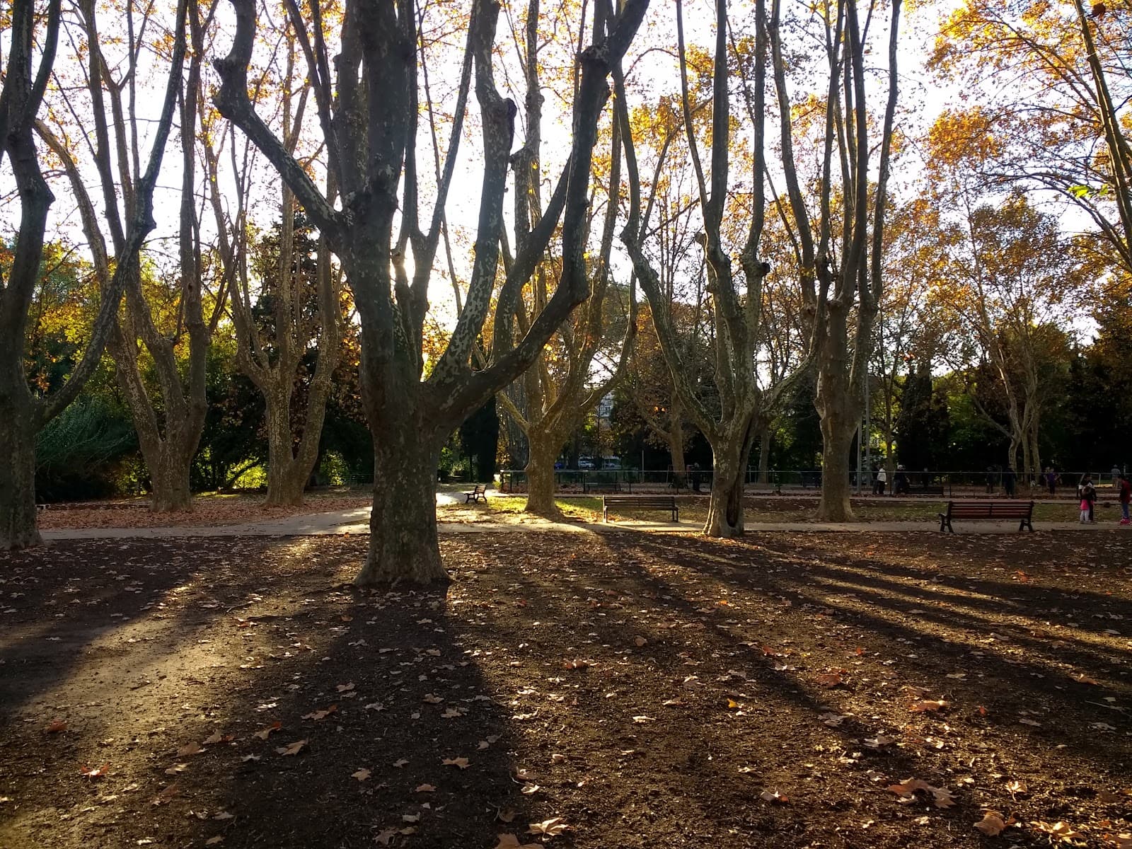 Parc Rimbaud - Image 1