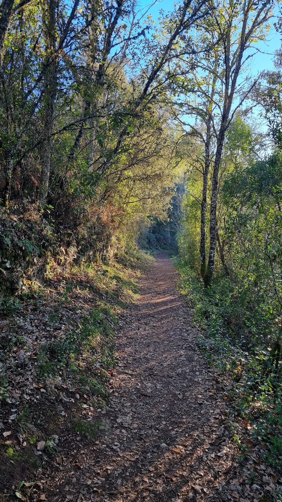 Sendero de los Castaños - Image 1