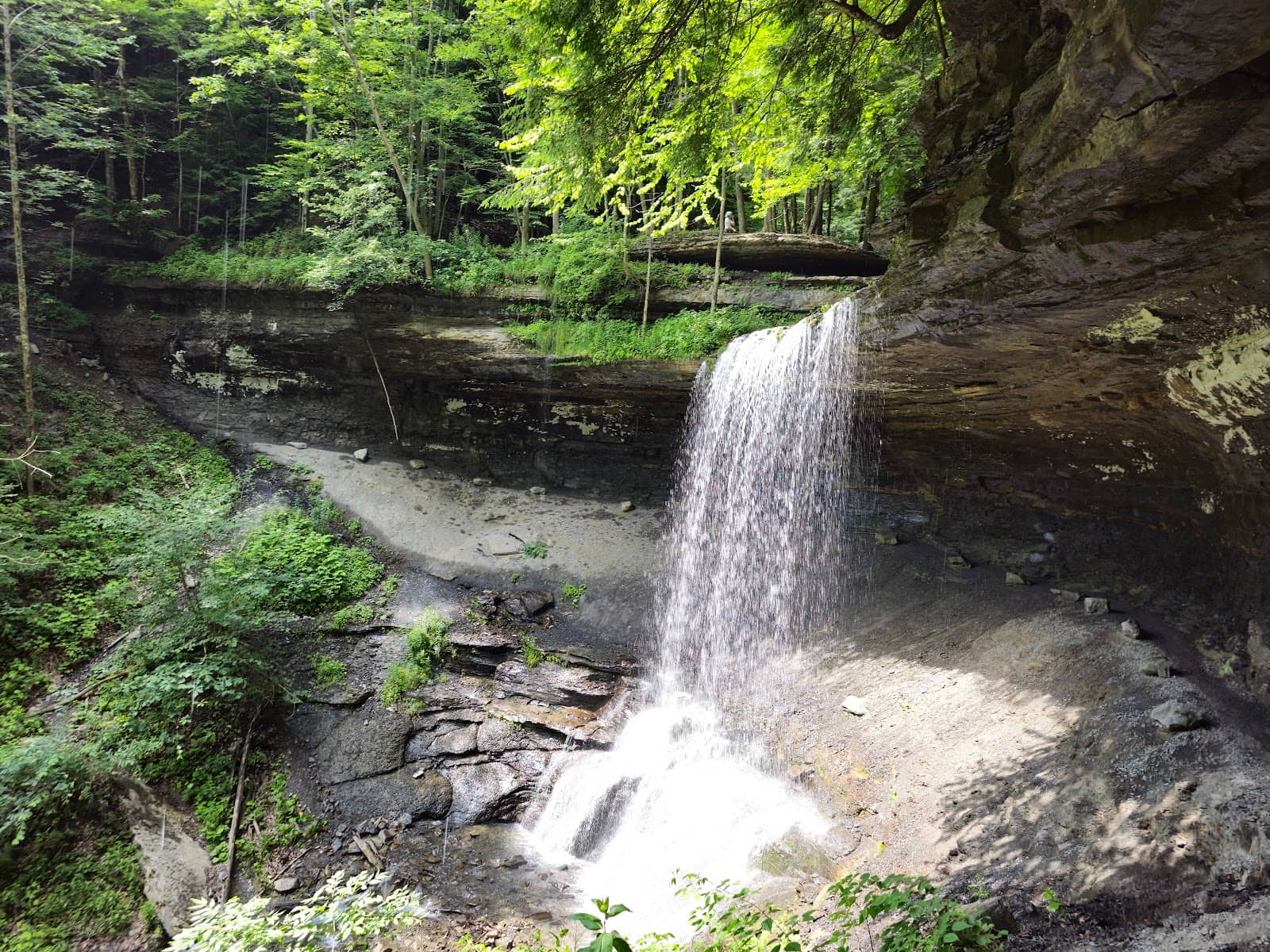 Wooded Stream Trail