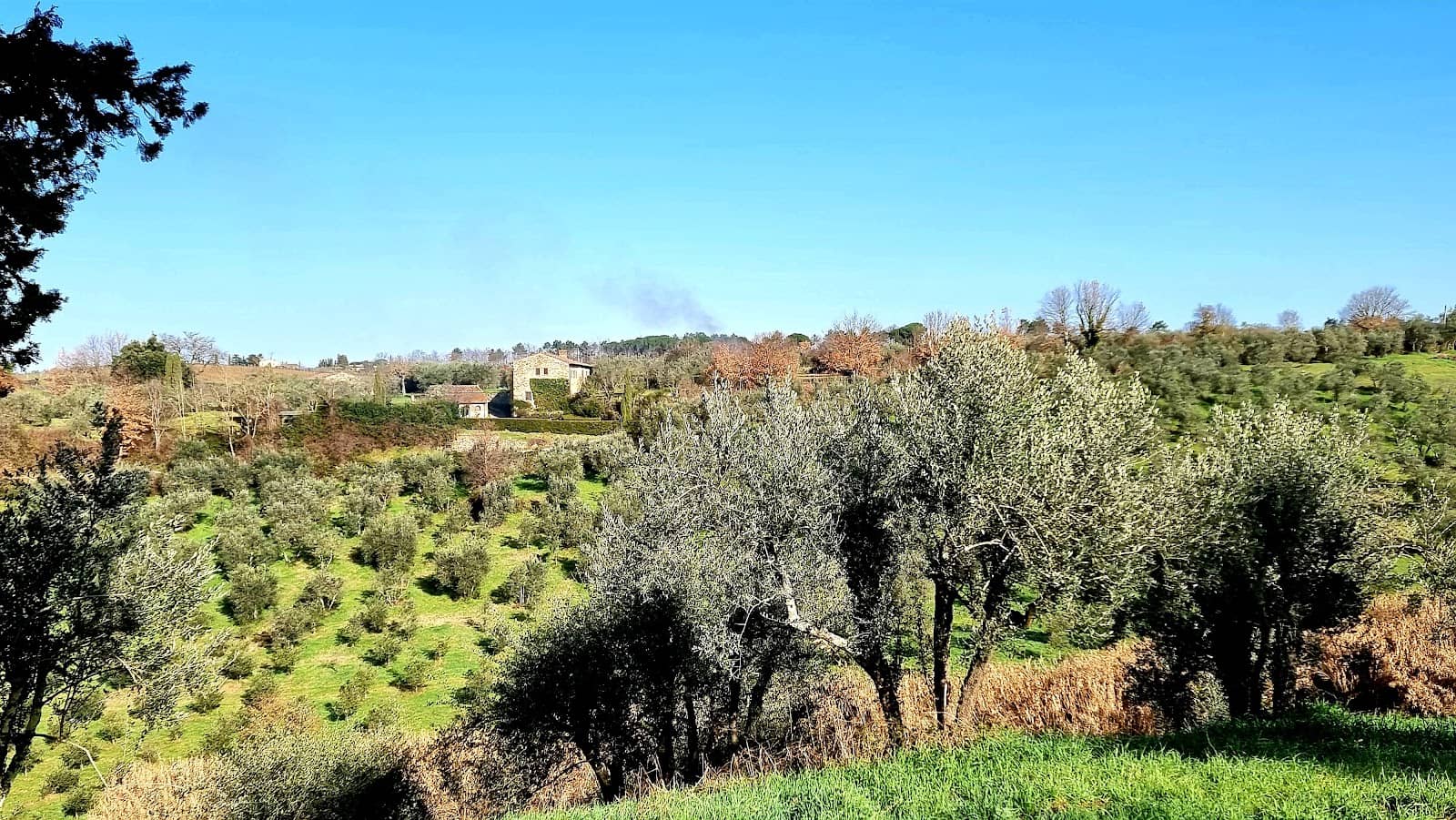 Local Culinary Delights