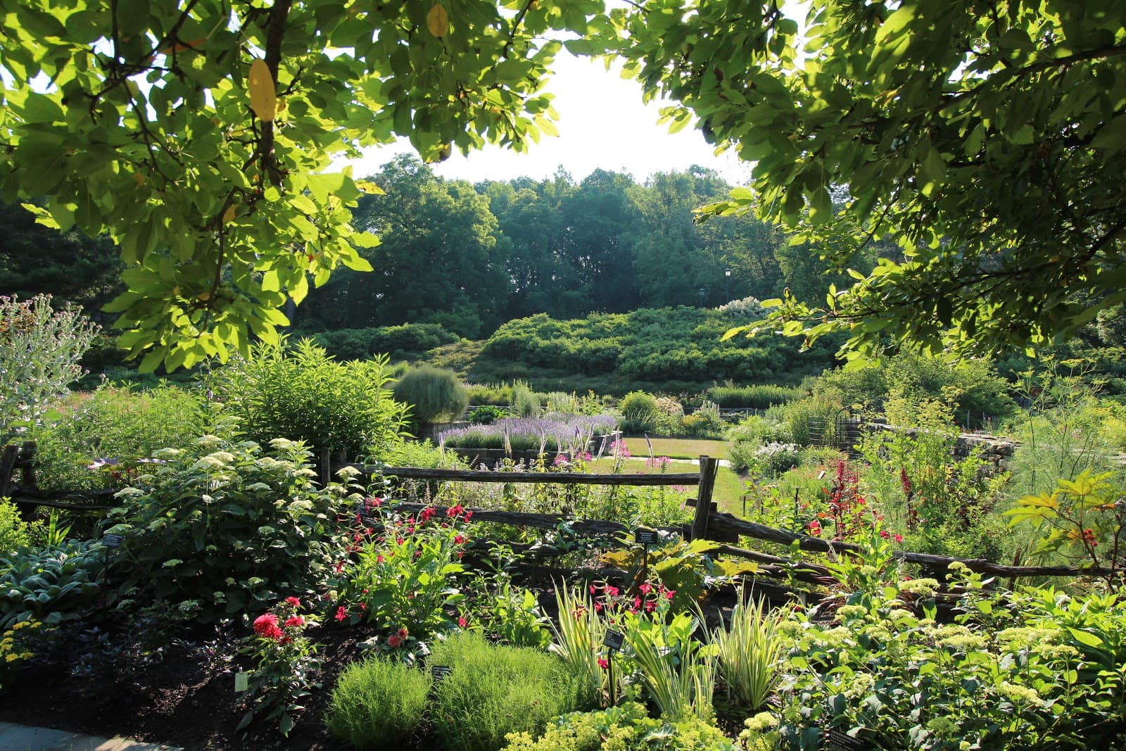 Cornell Botanic Gardens - Image 1
