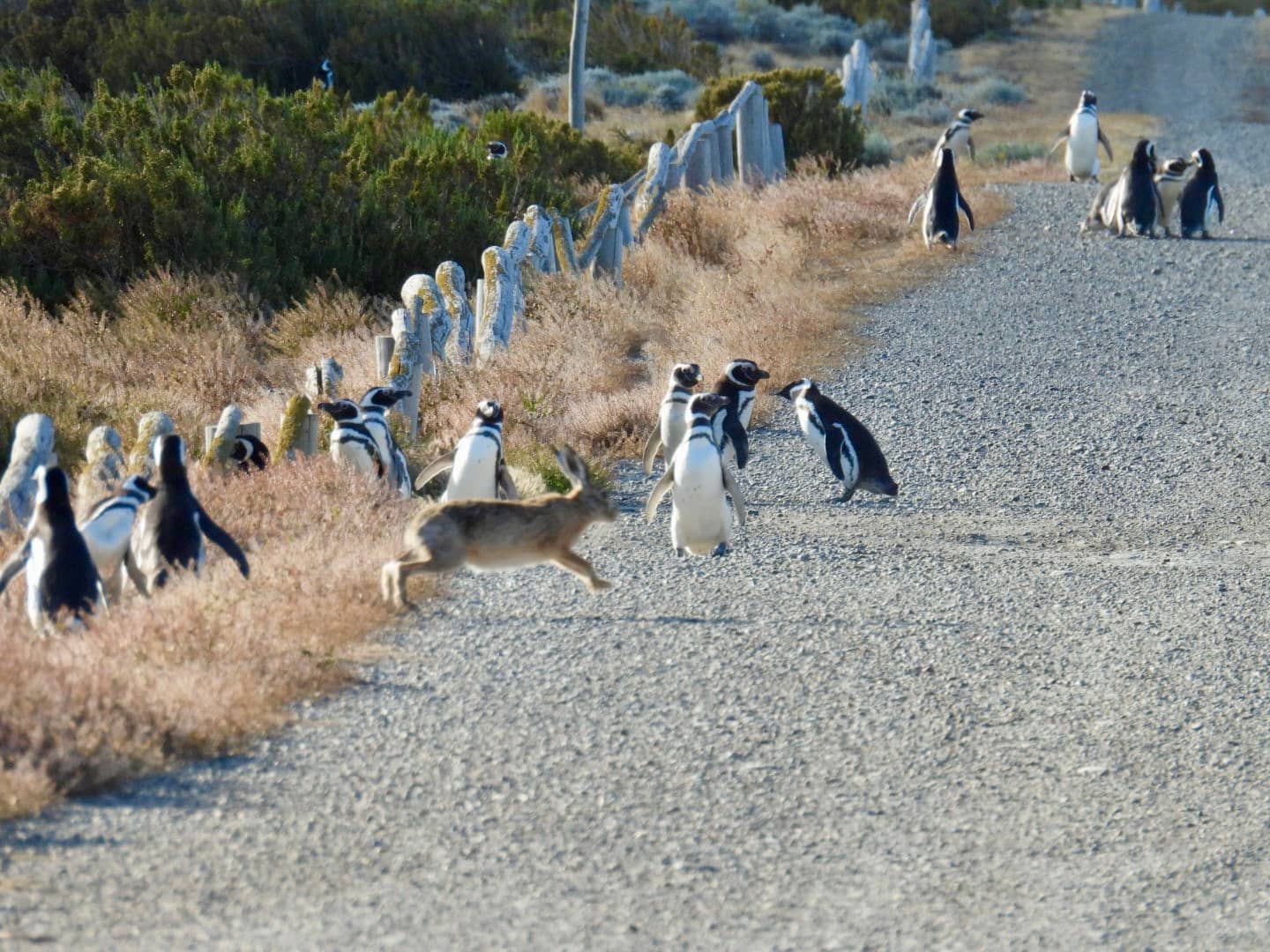 Cabo Vírgenes Lighthouse