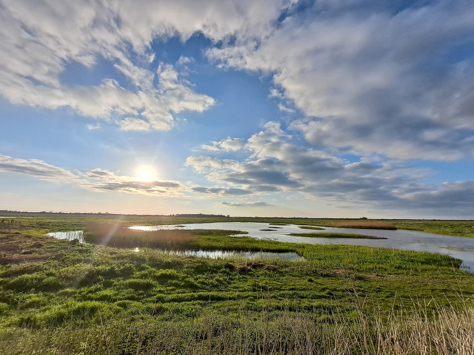 WWT Welney Wetland Centre - Image 1