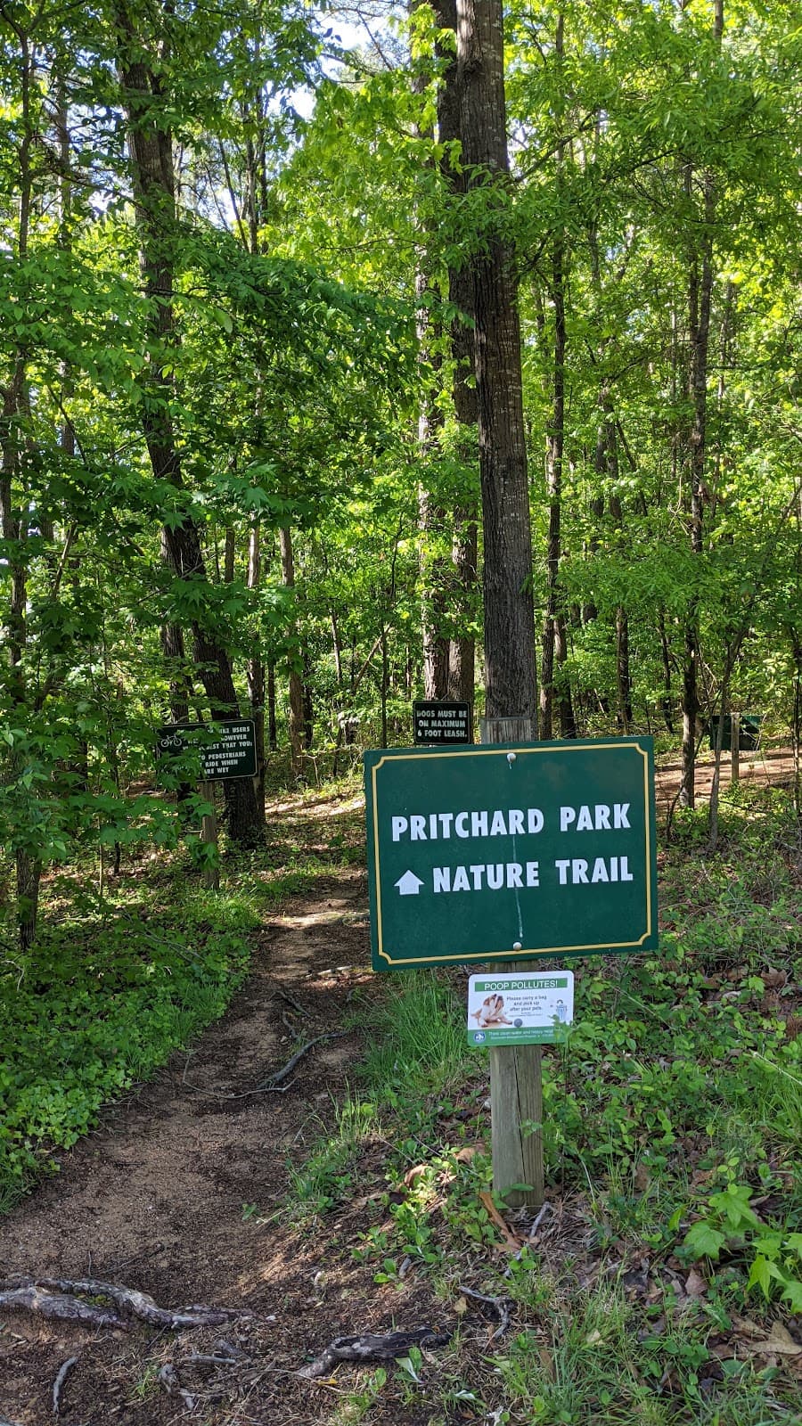 Pritchard Park - Image 1