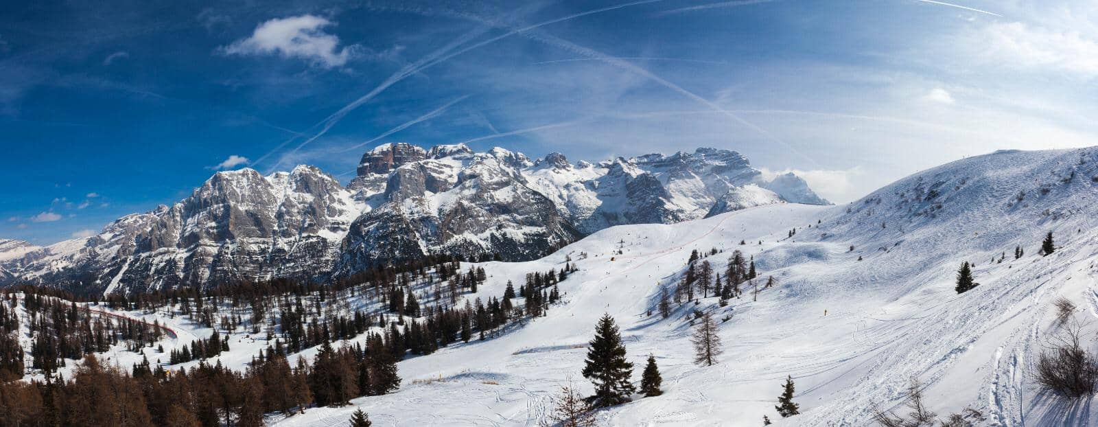 Local Artisan Shops
