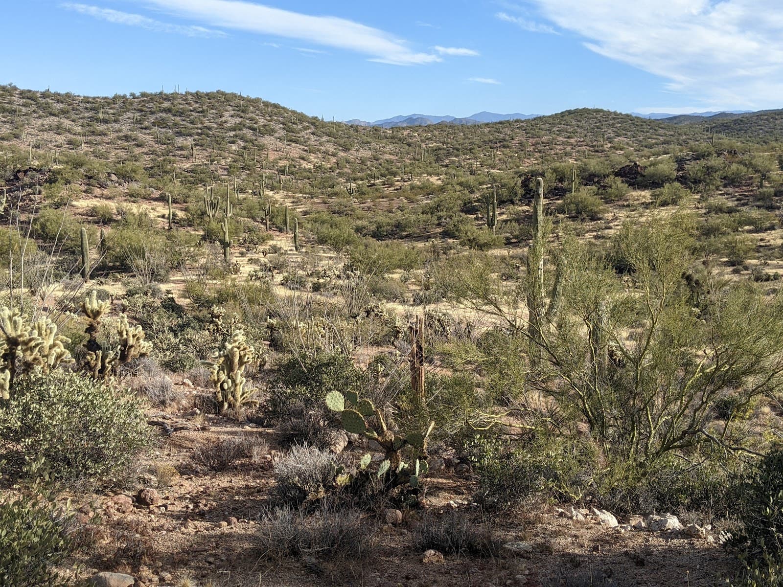 Sophie's Flat Trail System - Image 1