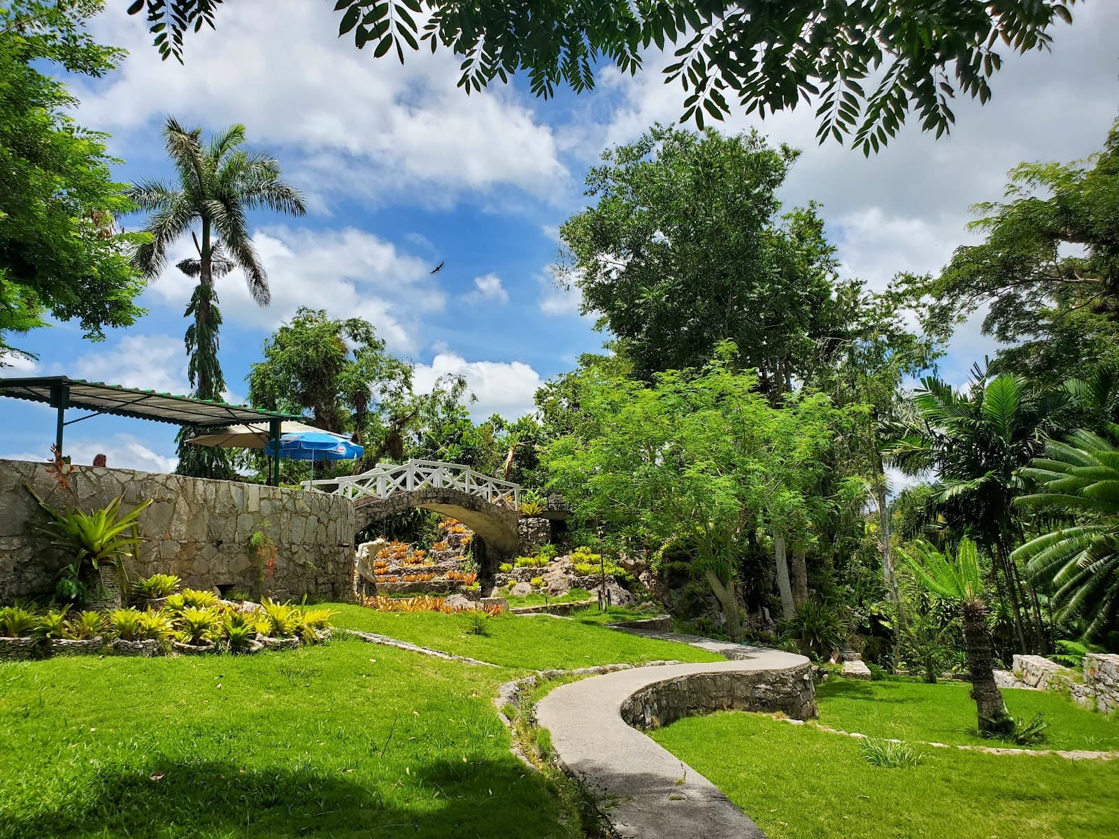 Soroa Orchid Garden - Image 1