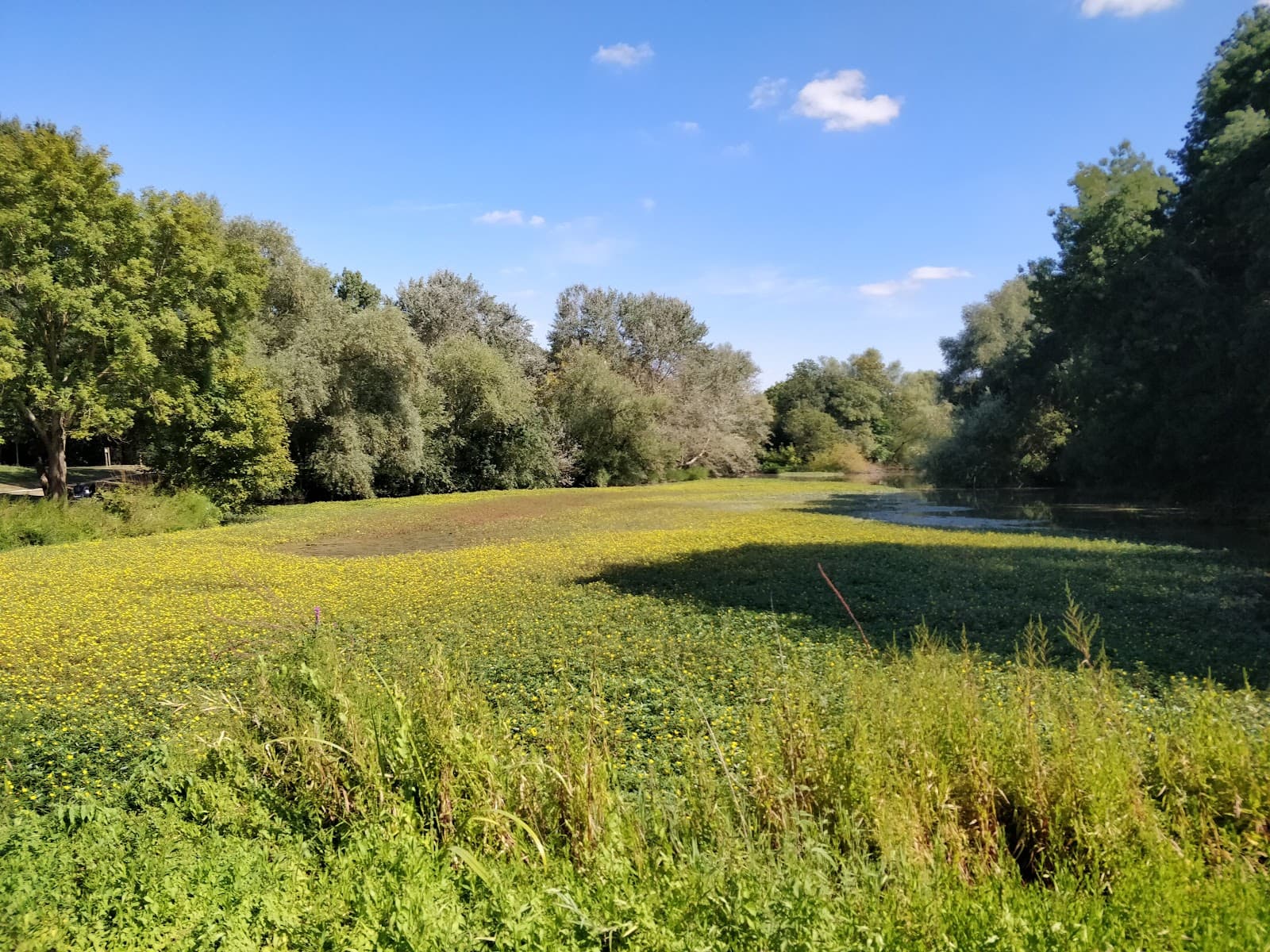 Parc de Beaulieu - Image 1