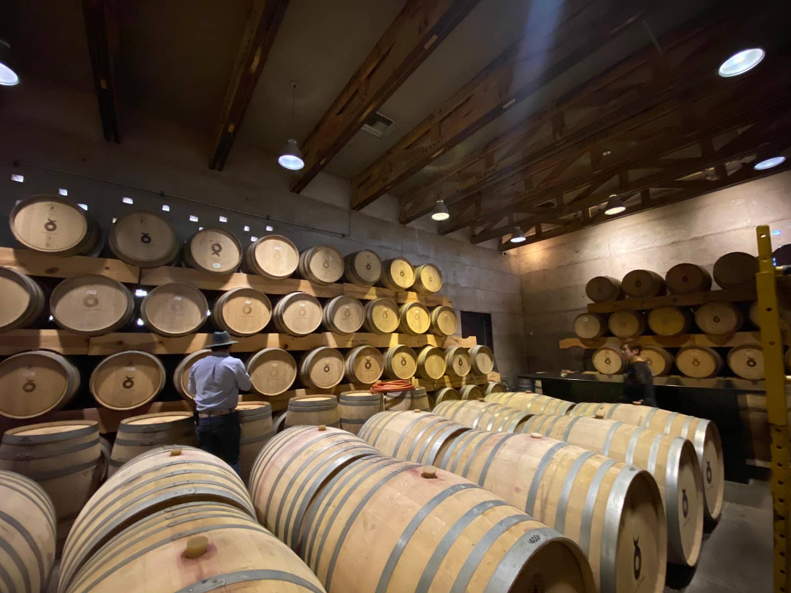 Gourmet Dining Experience