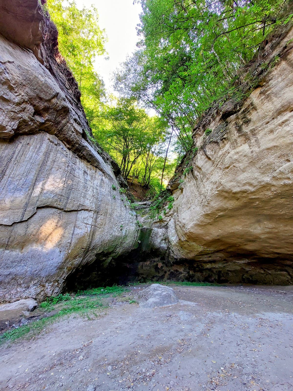 Honey Waterfalls - Image 1