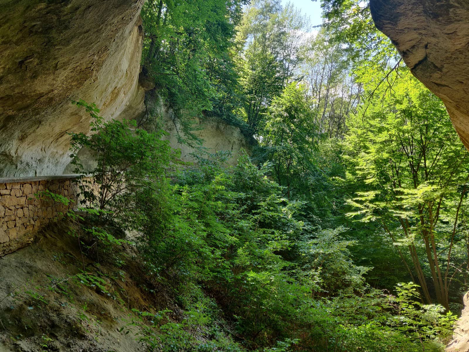 Vertical photo