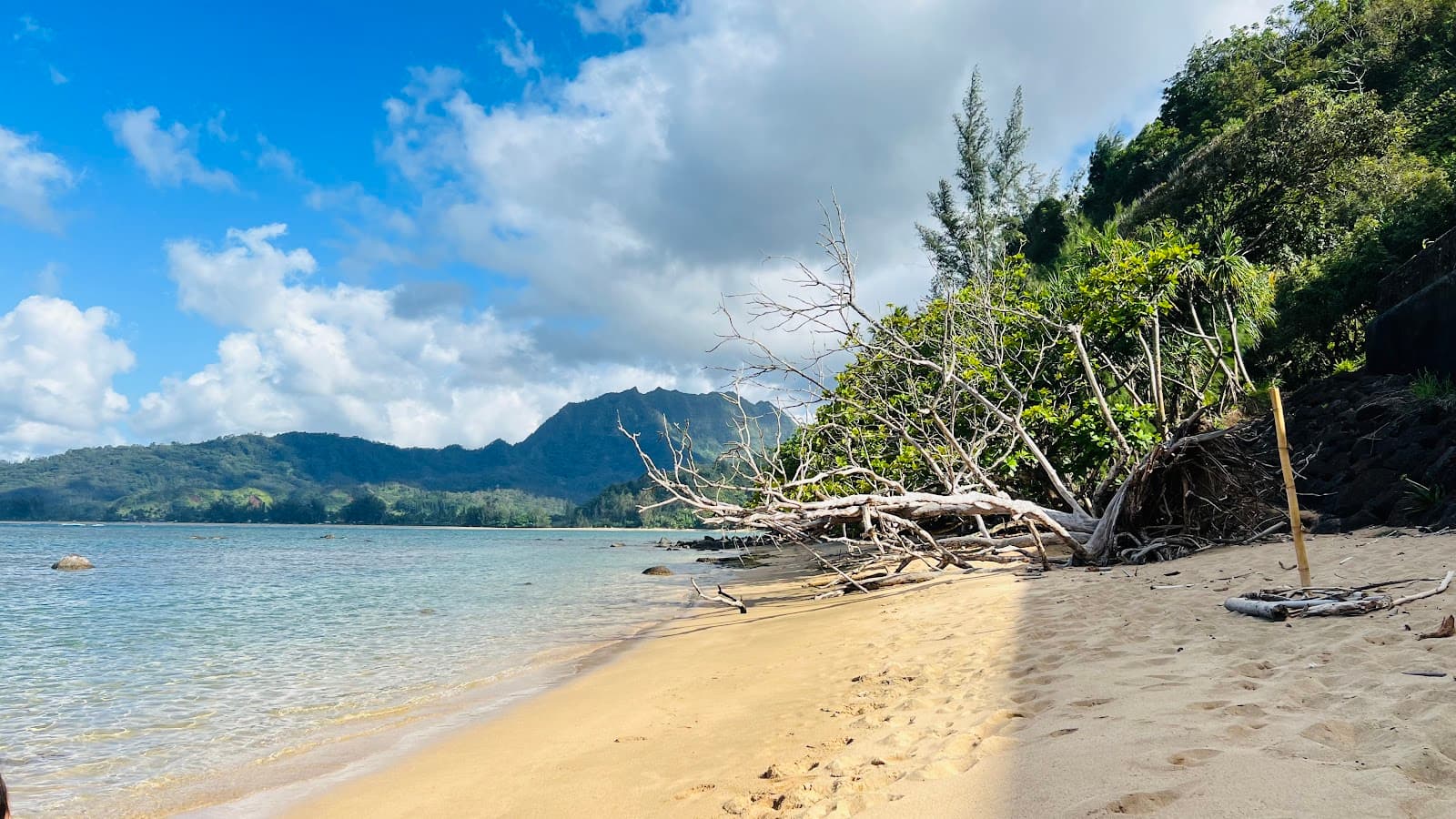 Waikoko Beach - Image 1