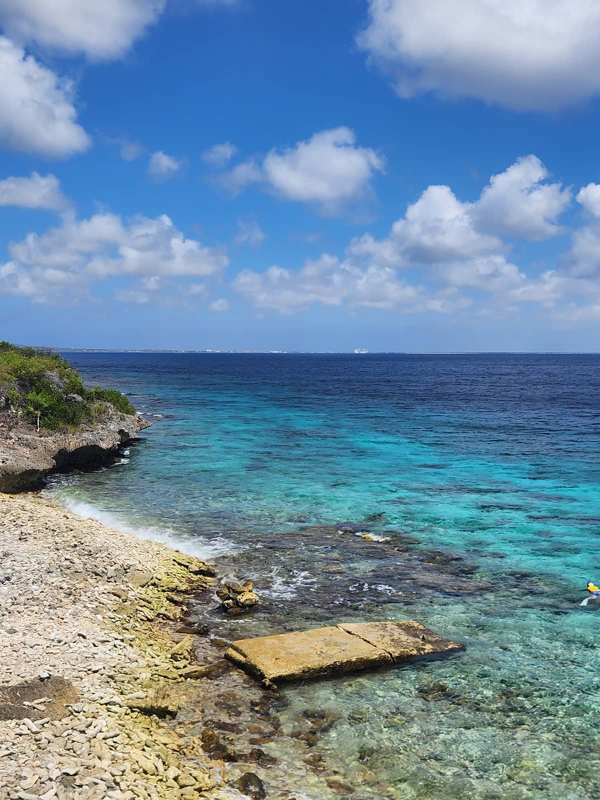 Iconic North-Side Dive