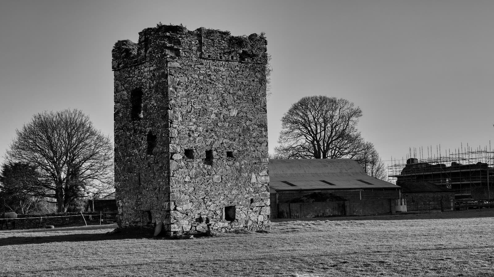 Jigginstown Castle - Image 1