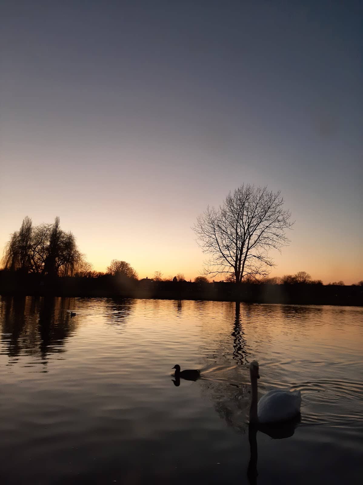 Family & Pet Friendly Fun