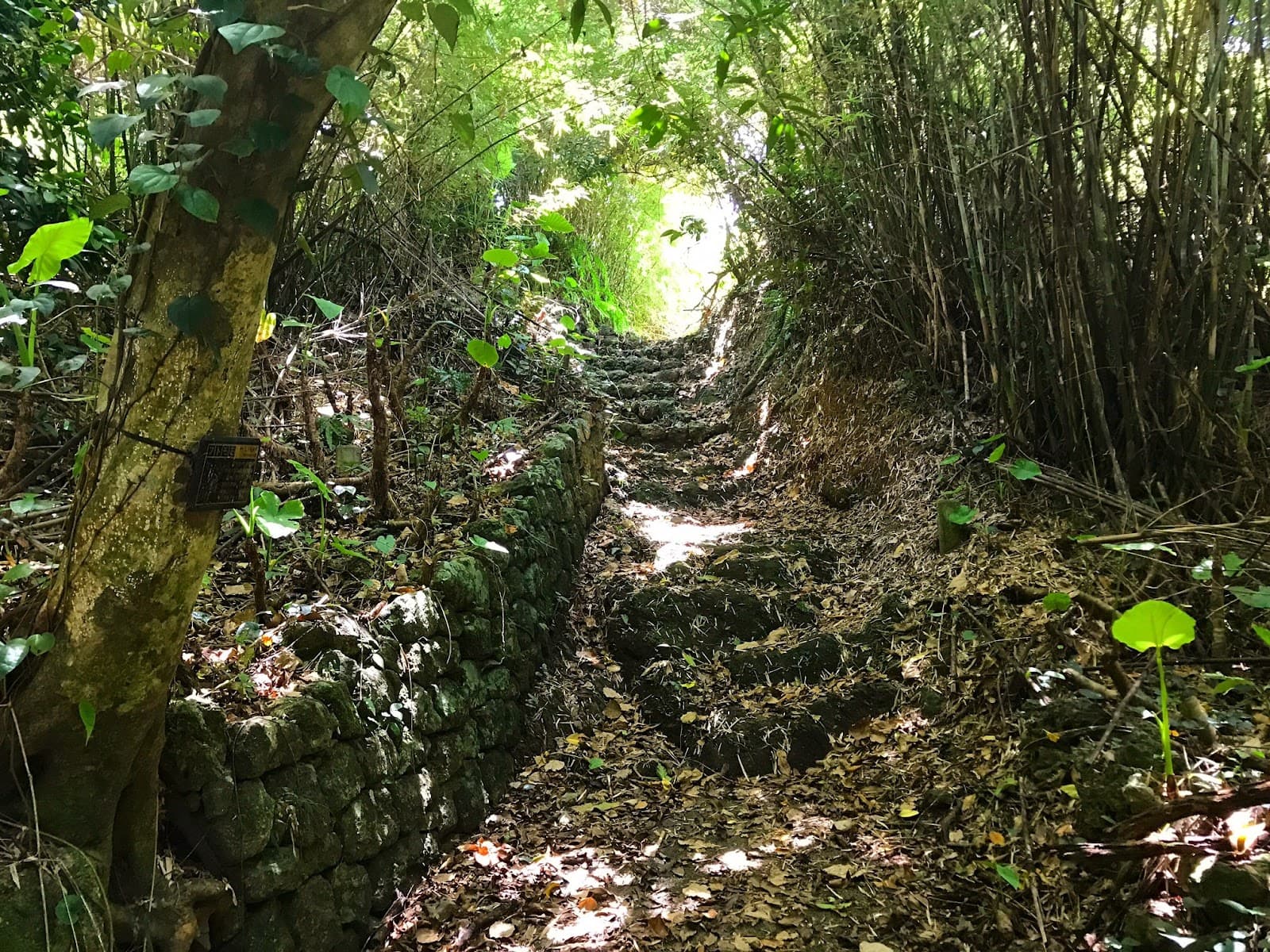 Yamada Gusuku Ruins - Image 1