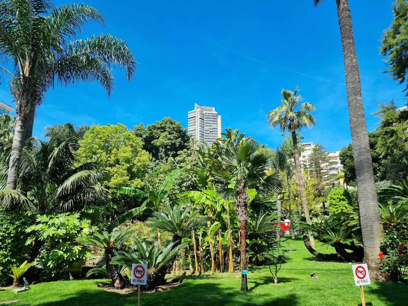 Casino Gardens and Petite Afrique - Image 1
