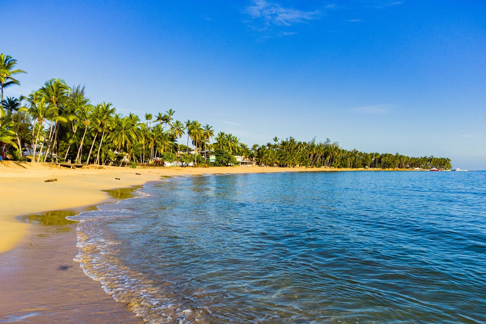 Playa Las Terrenas - Image 1