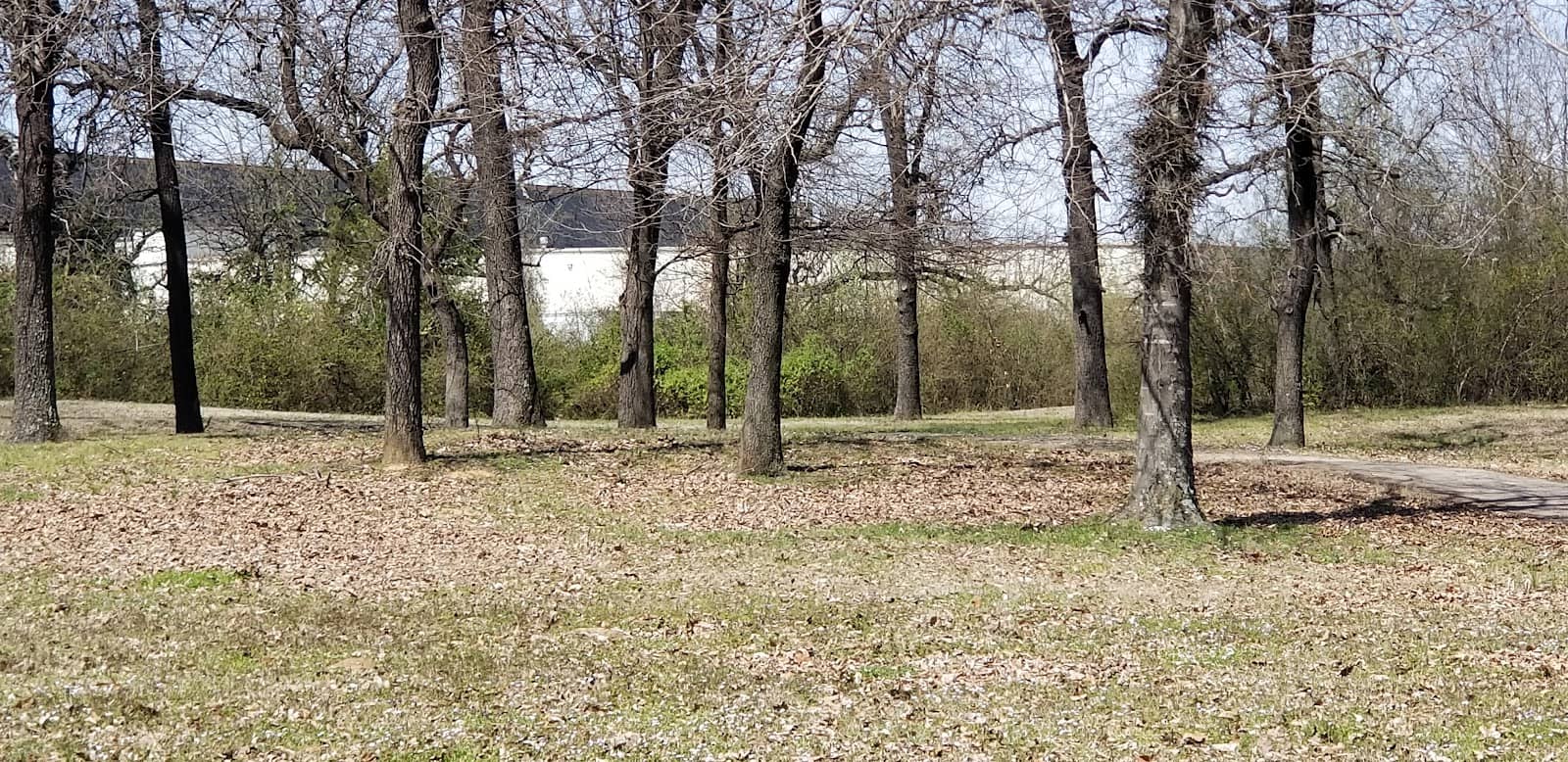 Peaceful Walking Trail