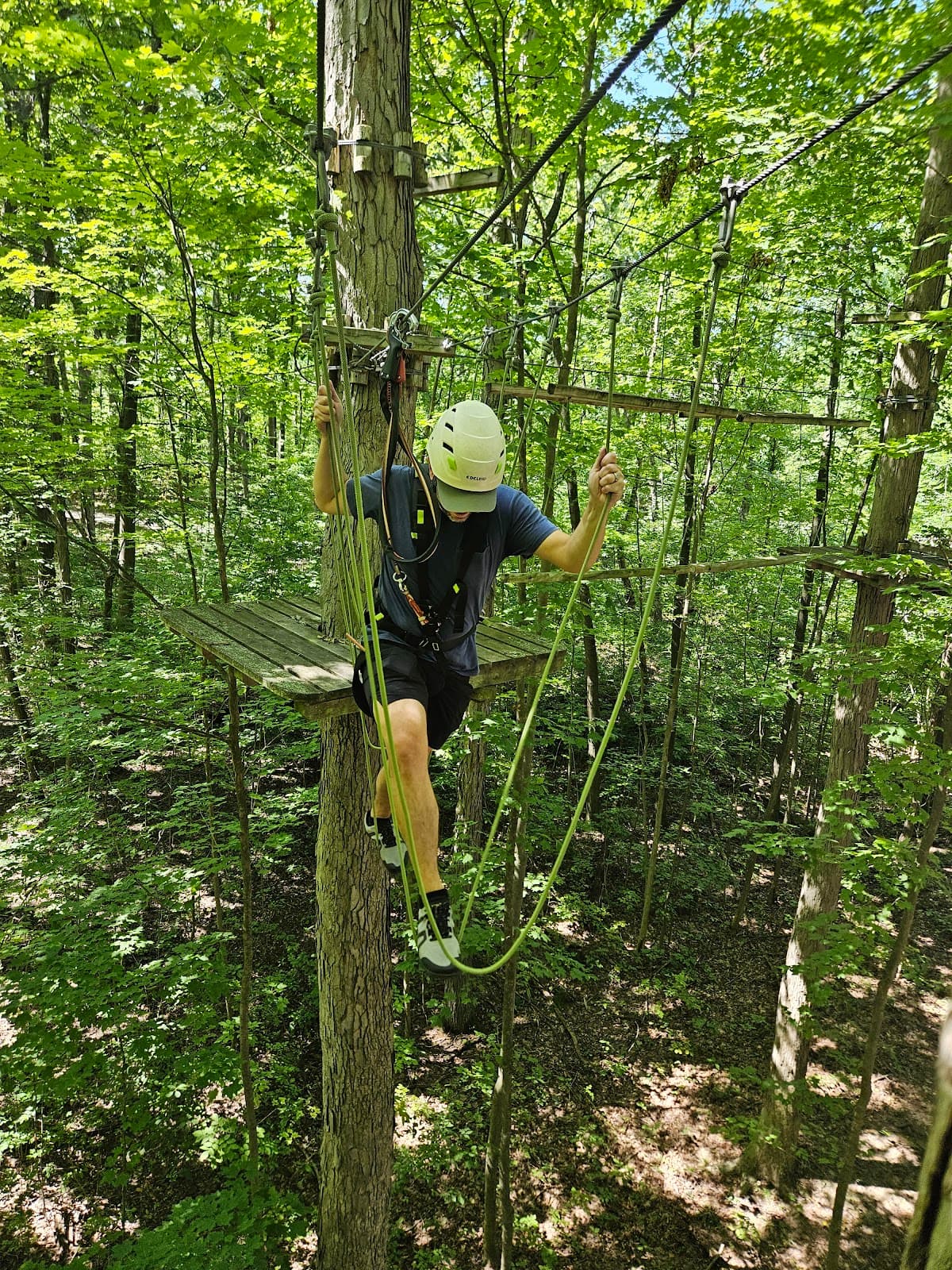 Lake Erie Canopy Tours - Image 1