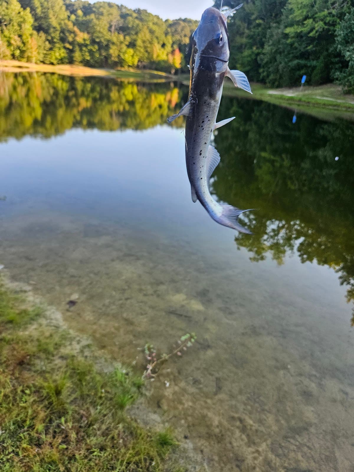 City Park & Lake - Image 1