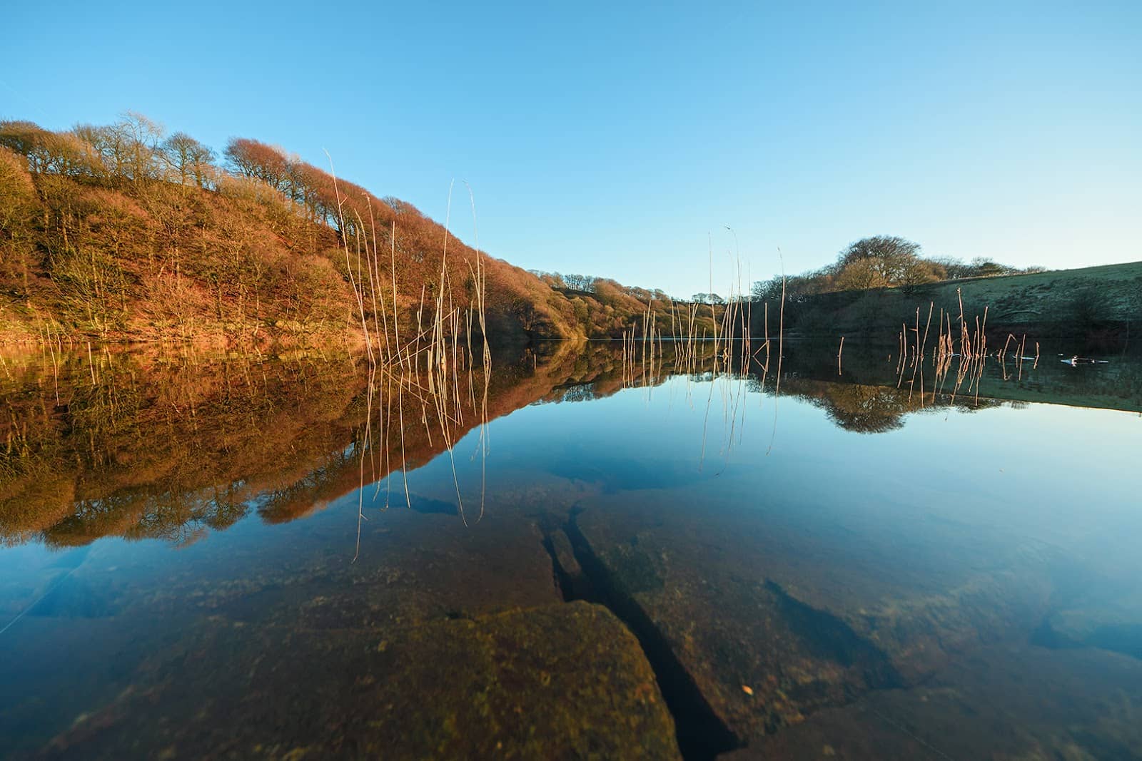 Peaceful Waterside