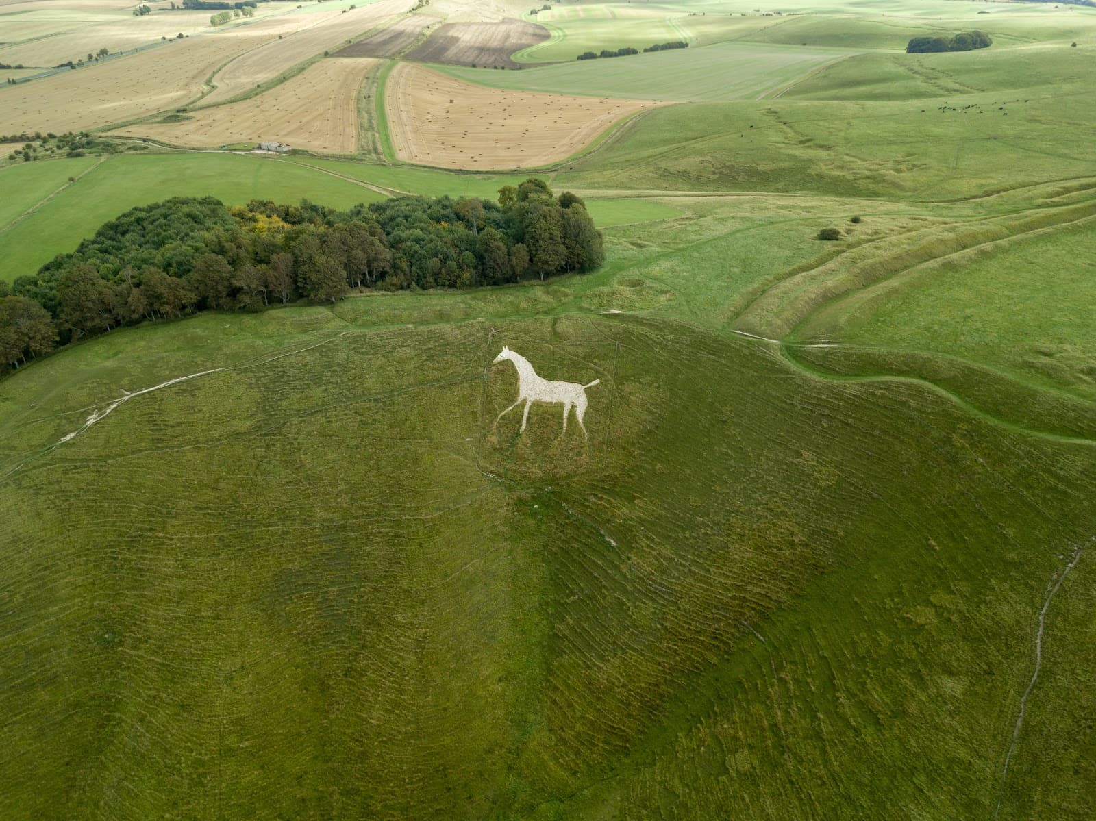 Cherhill White Horse - Image 1