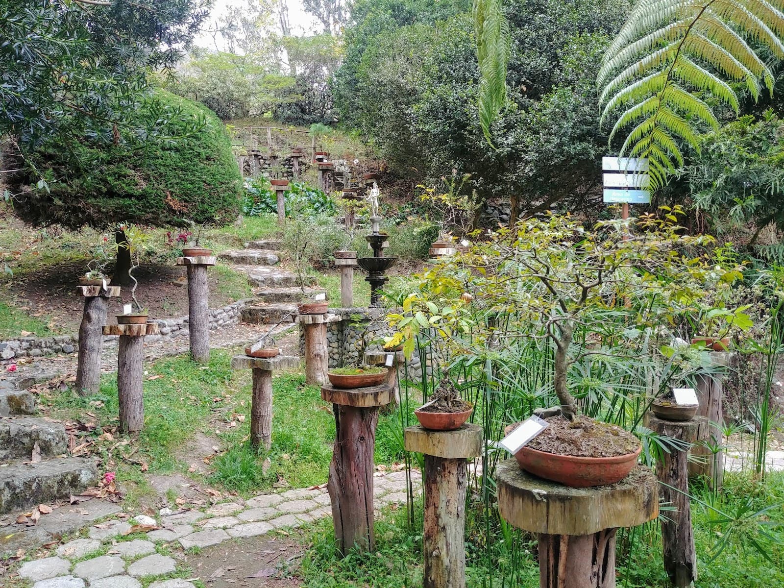 Jardín Botánico Reinaldo Espinosa - Image 1