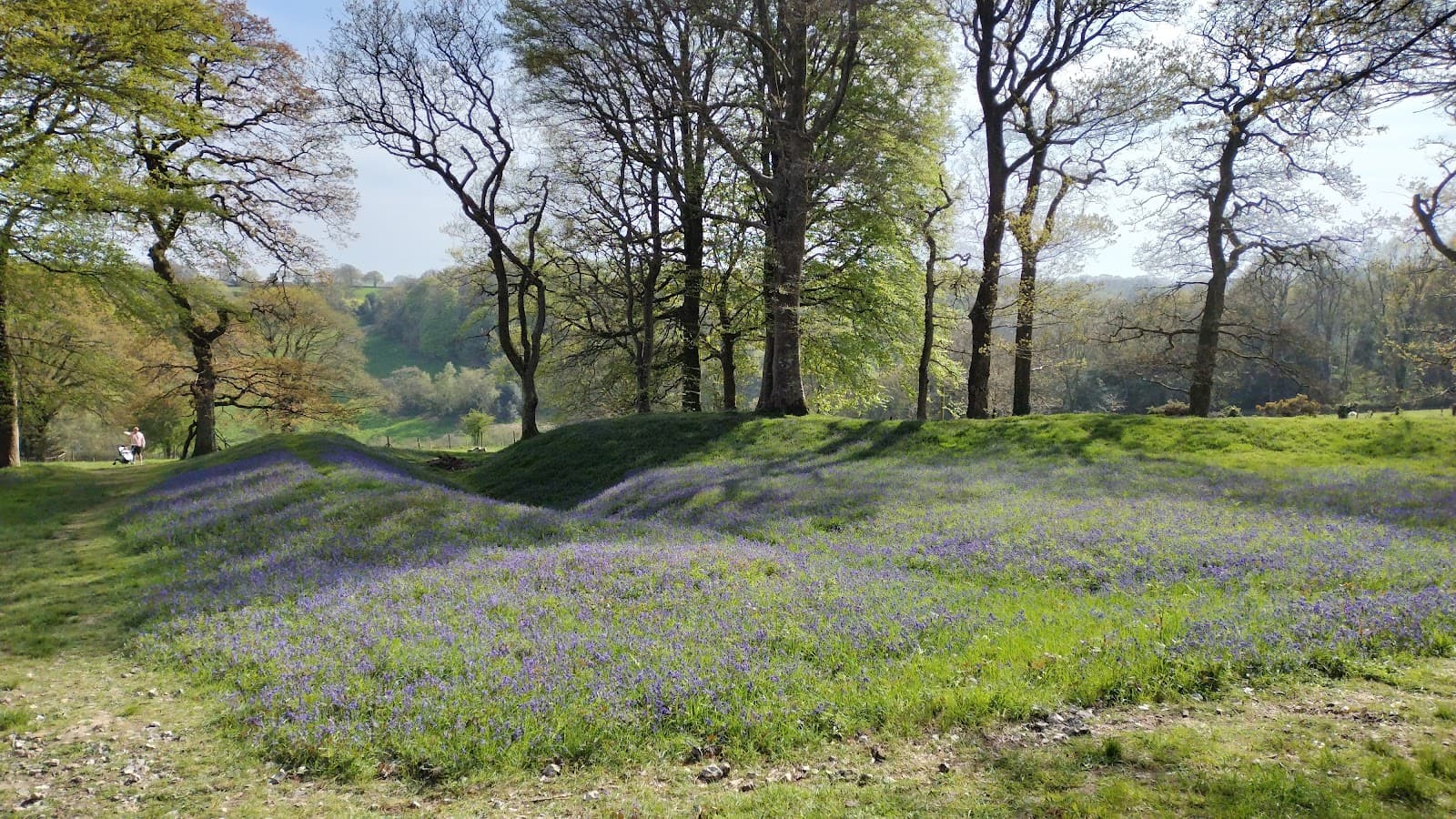 Blackbury Camp (Blackbury Castle) - Image 1