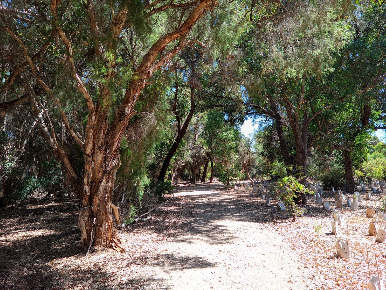 Tamworth Hill Swamp - Image 1