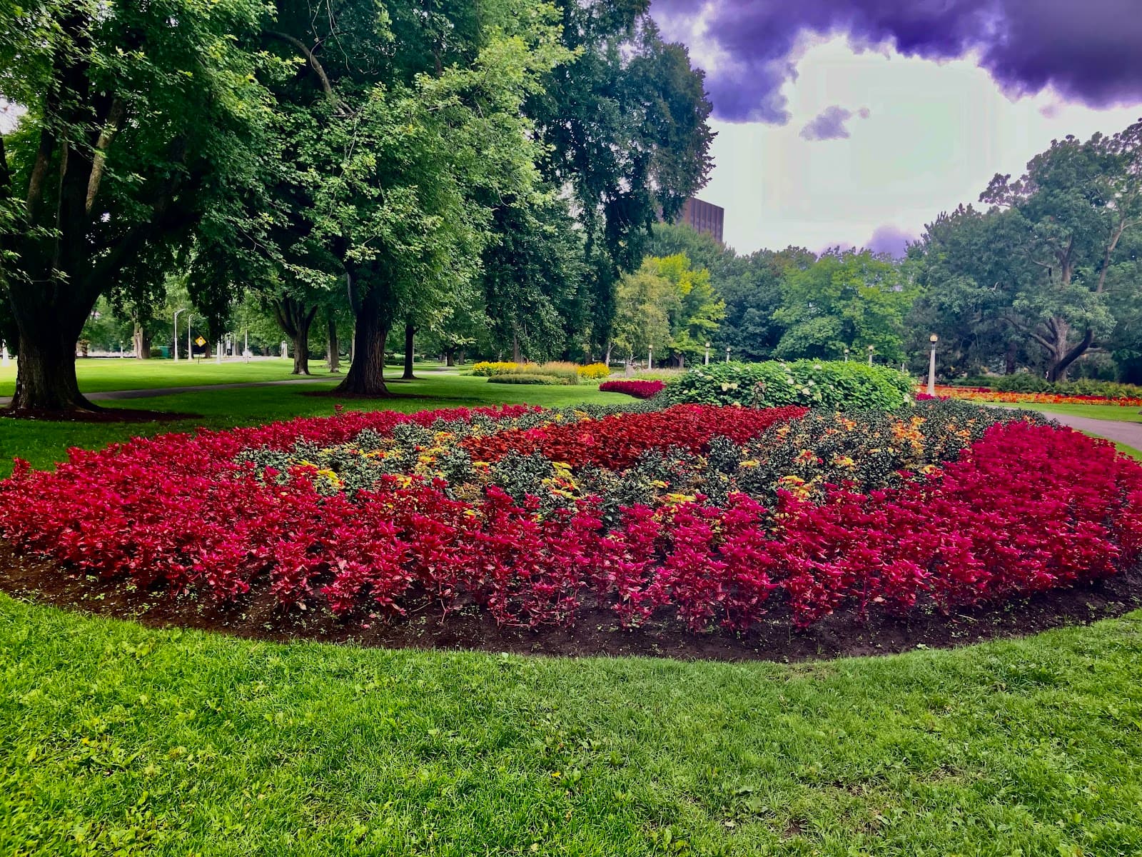 Commissioners Park Dow's Lake - Image 1