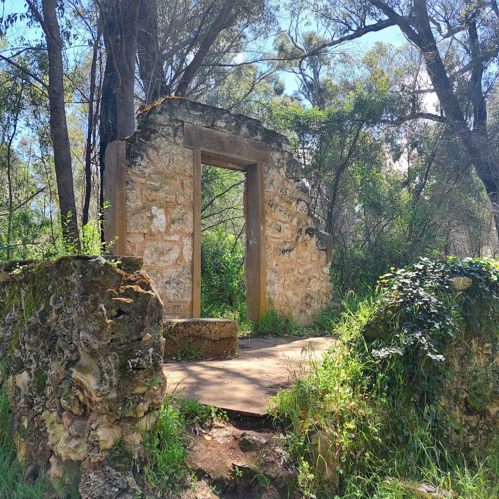 Peaceful Bushwalk Experience