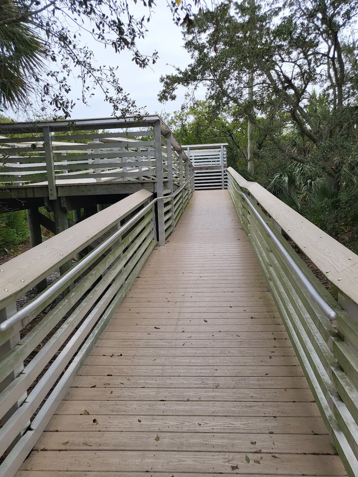 Clam Bayou Nature Preserve - Image 1