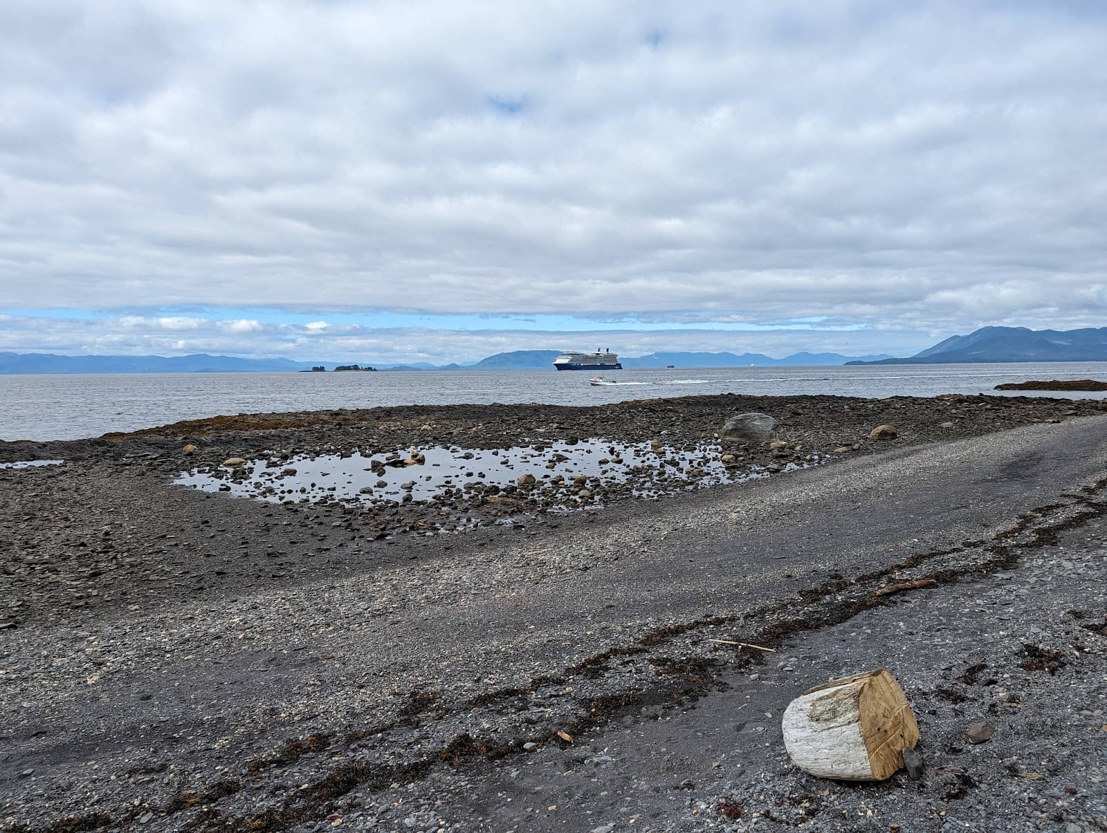 Scenic Forest Trails