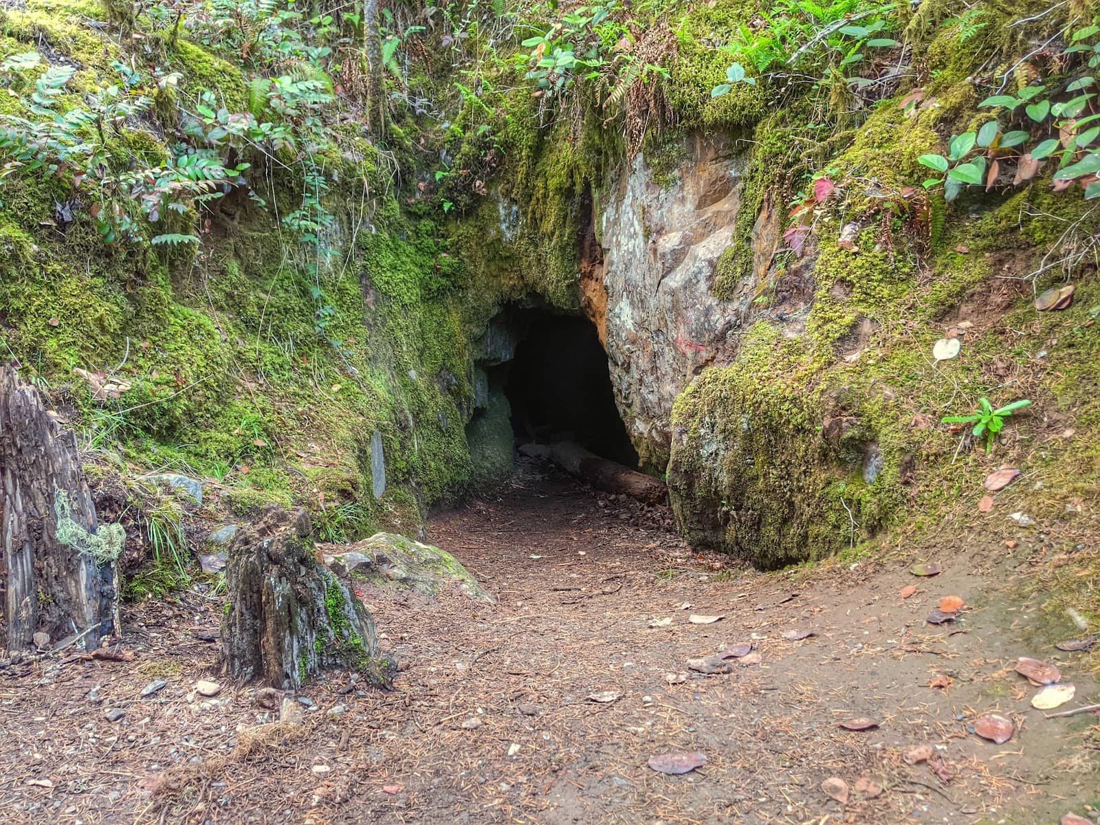 Scenic Rolling Hills