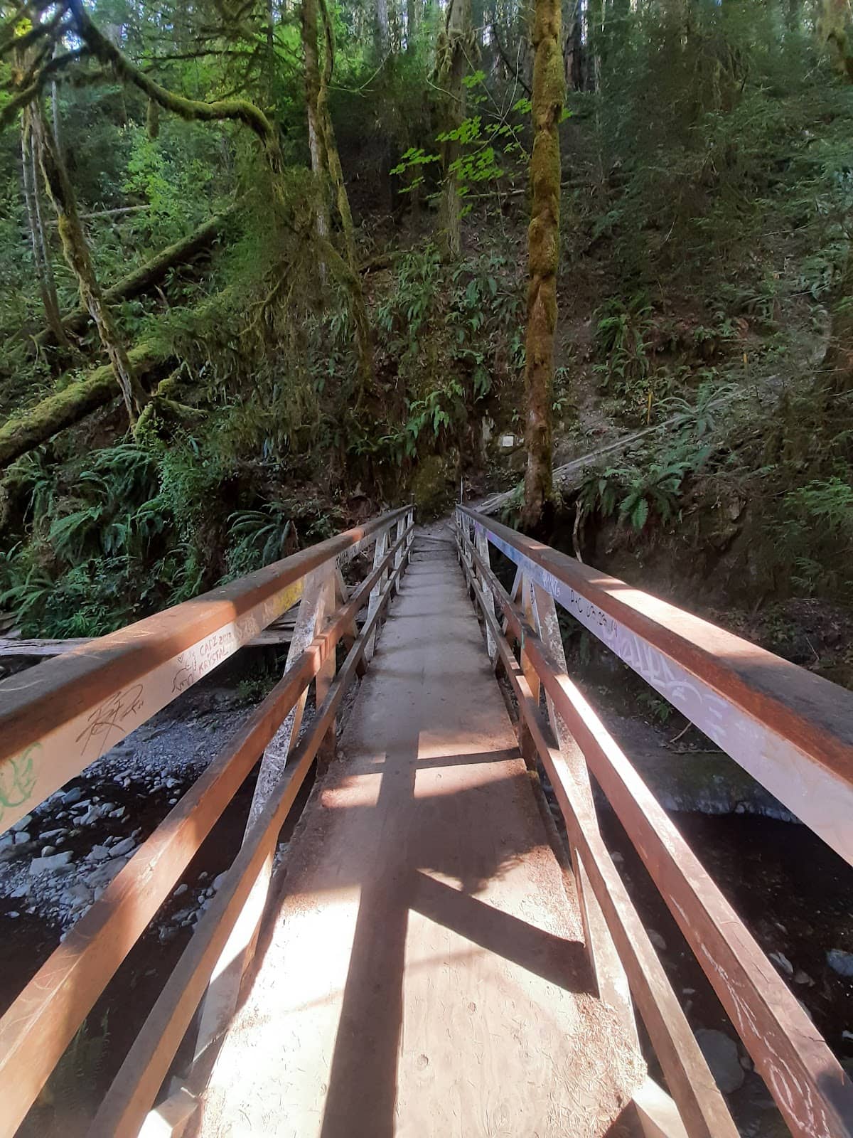 Vertical photo