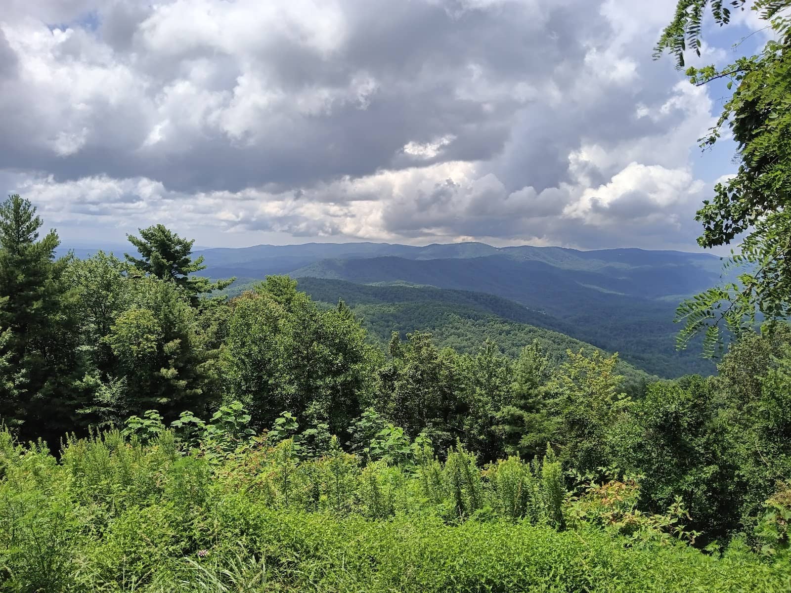 Benton MacKaye Trail