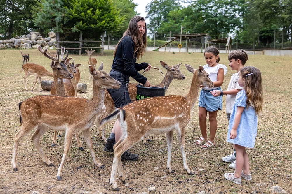 Le Thot Espace Cro-Magnon - Image 1