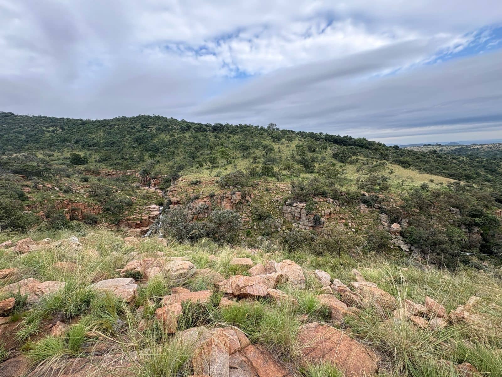 Riverbank Picnic Spots