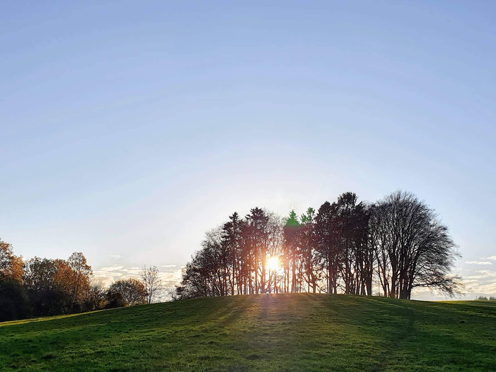 Europe's Largest Hedge Maze