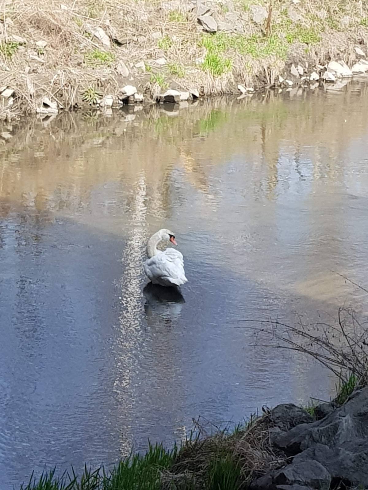 Historic Parish Church